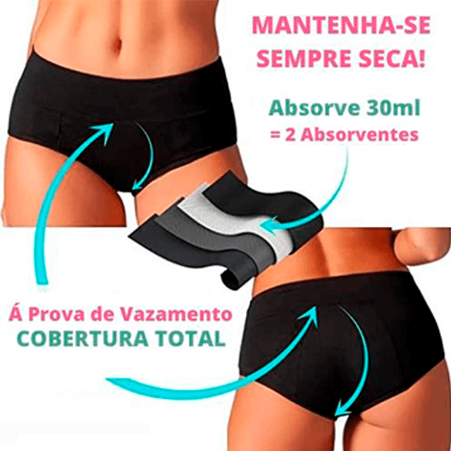 Calcinha Absorvente Incontinência Urinária Feminina Kit com 3 - DryExtreme - Loja Facilita Lar