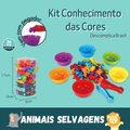 Kit Conhecimento das Cores - Descomplica Brasil™ + Ebook Colorir BRINDE - Loja Facilita Lar