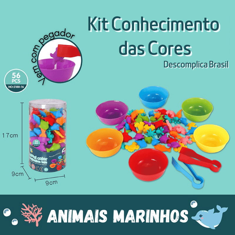 Kit Conhecimento das Cores - Descomplica Brasil™ + Ebook Colorir BRINDE - Loja Facilita Lar